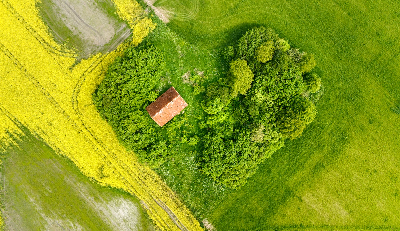 Aerial photo of an old house surrounded by lush green fields and farmland, showcasing nature's beauty.